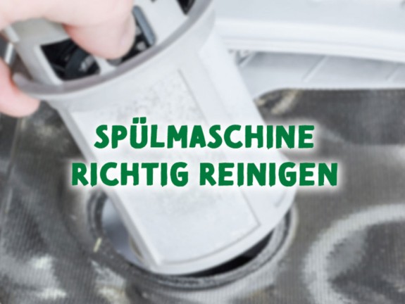 Frosch Tipp zur Reiniung