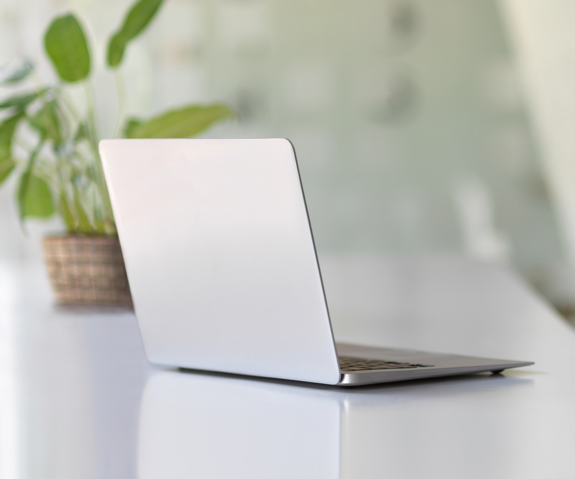 A laptop stands next to a plant on a table	