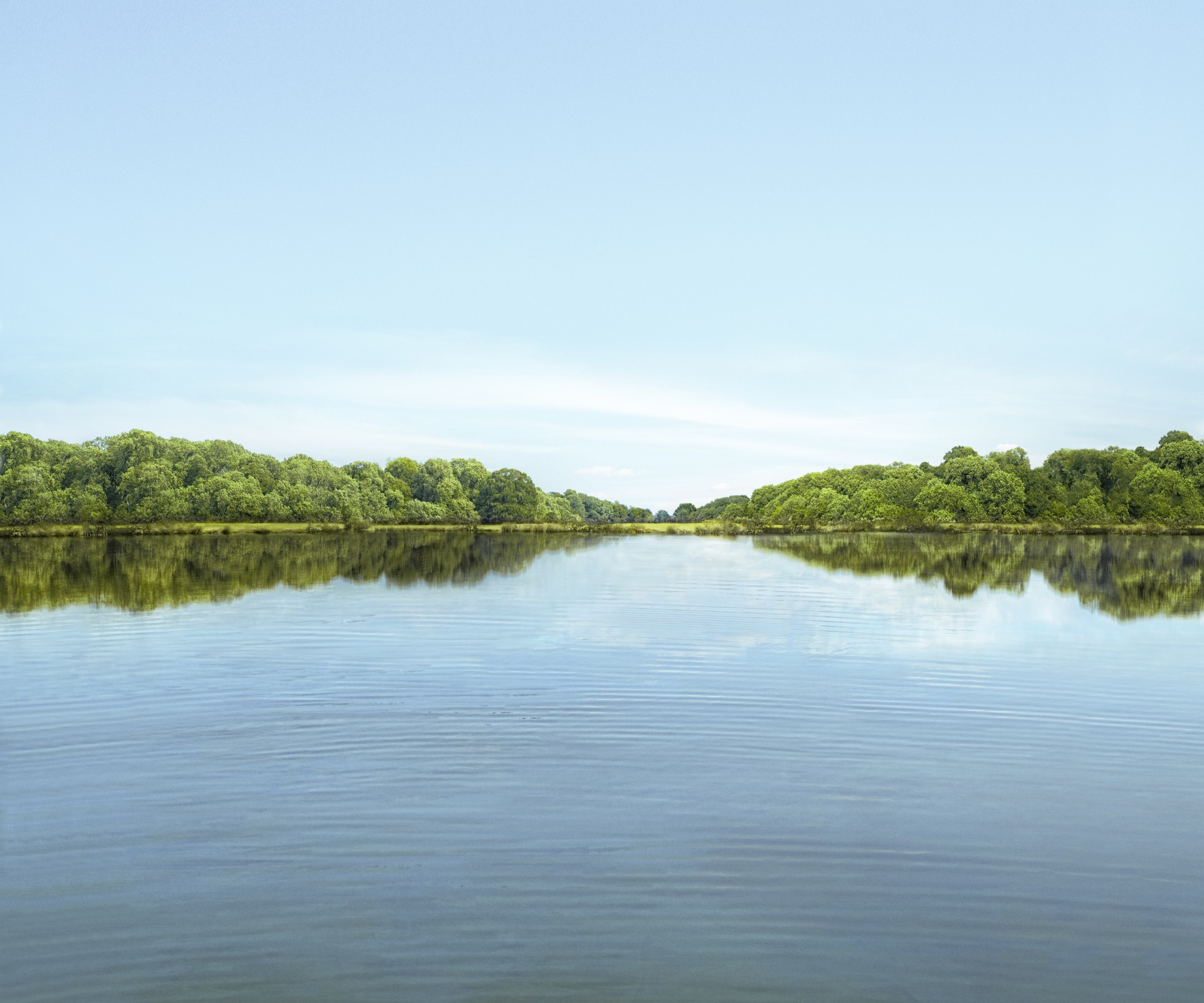 Blick vom Wasser auf ein baumbewachsenes Ufer